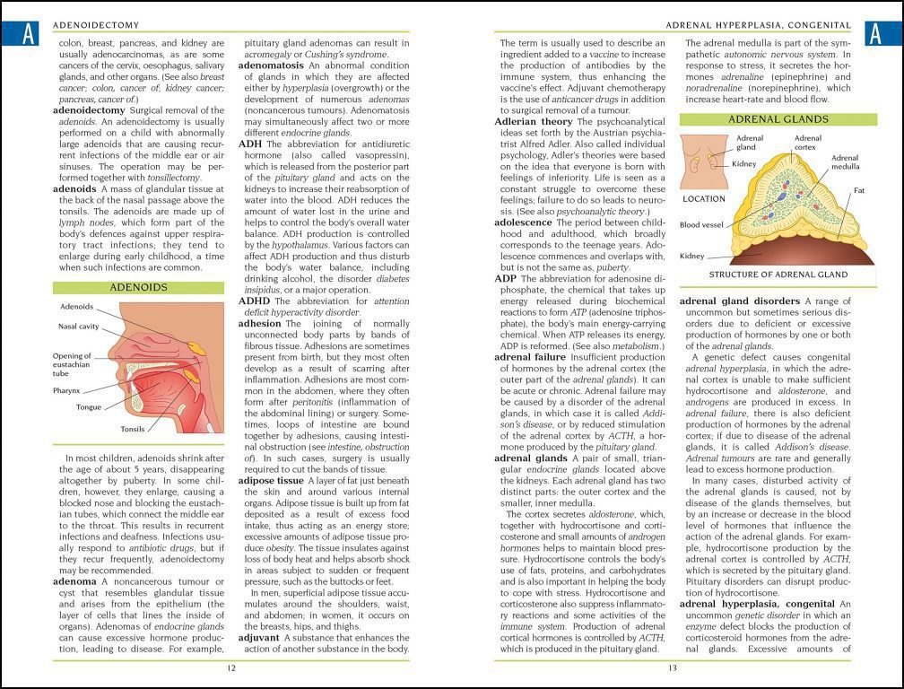 BMA Illustrated Medical Dictionary 2013 Buy For 99p