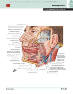 Buy-Atlas-of-Human-Anatomy-Including-Student-Consult-Interactive-Ancillaries-and-Guides
