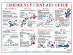 St Andrew's First Aid-First-Aid-Manua