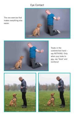 Easy-Peasy-Puppy-Squeezy-Steve-Mann-