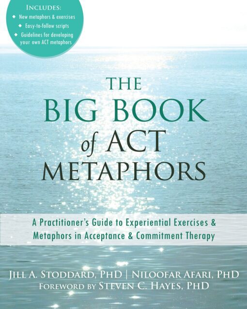 The Big Book of ACT Metaphors - Jill A. Stoddard