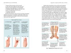 Foot Reflexology & Acupressure Headaches